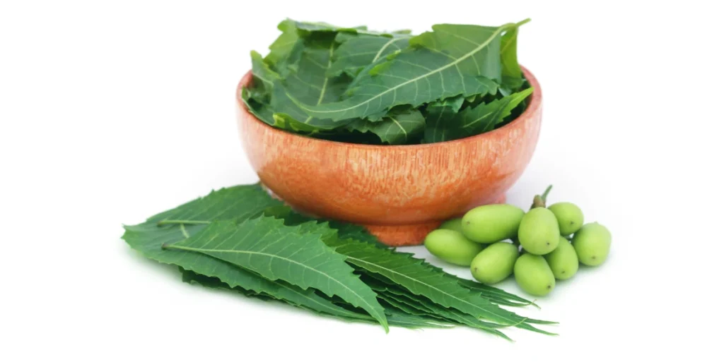 benefits of neem leaf for hair