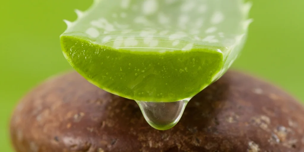 benefits of aloe vera for hair