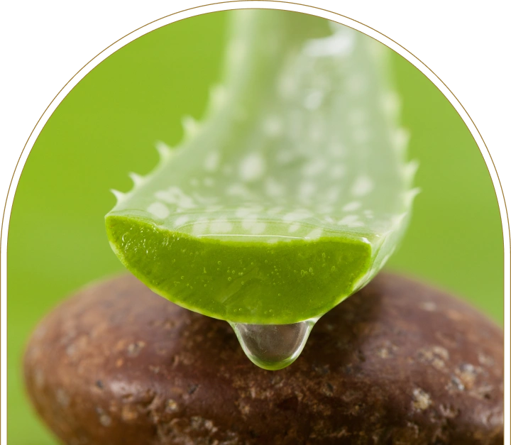 benefits of aloe vera for hair